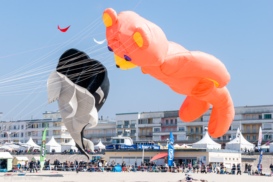 Cerfs-volants de Berck, 2013