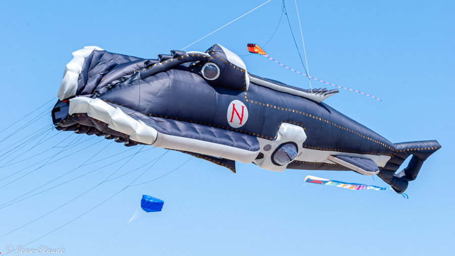 Le nautilus. - Les cerfs-volants de Berck-sur-mer, 2013