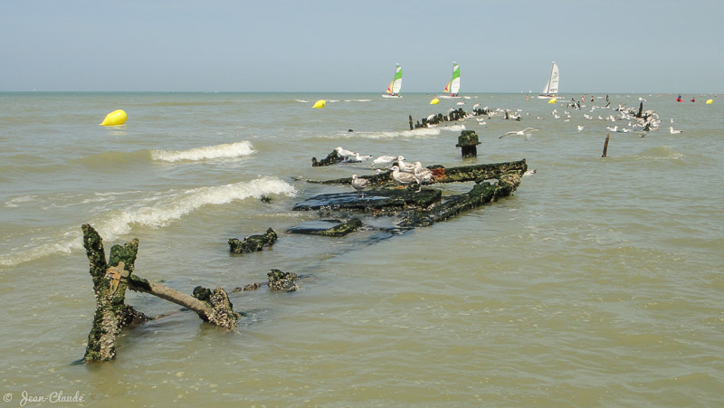 Epave en face de la descente des bateaux à Bray-Dunes, le Devonia