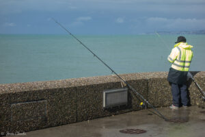 Pêche sur la jetée Ouest de Dieppe, 2016