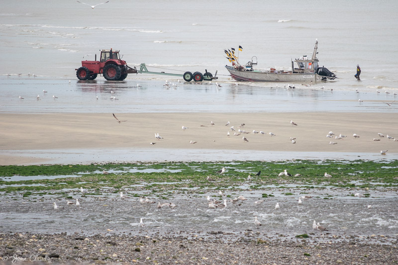 Retour de pêche à Quiberville-sur-Mer, 2016