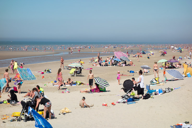 Les Dunes de Flandres en été, 2016