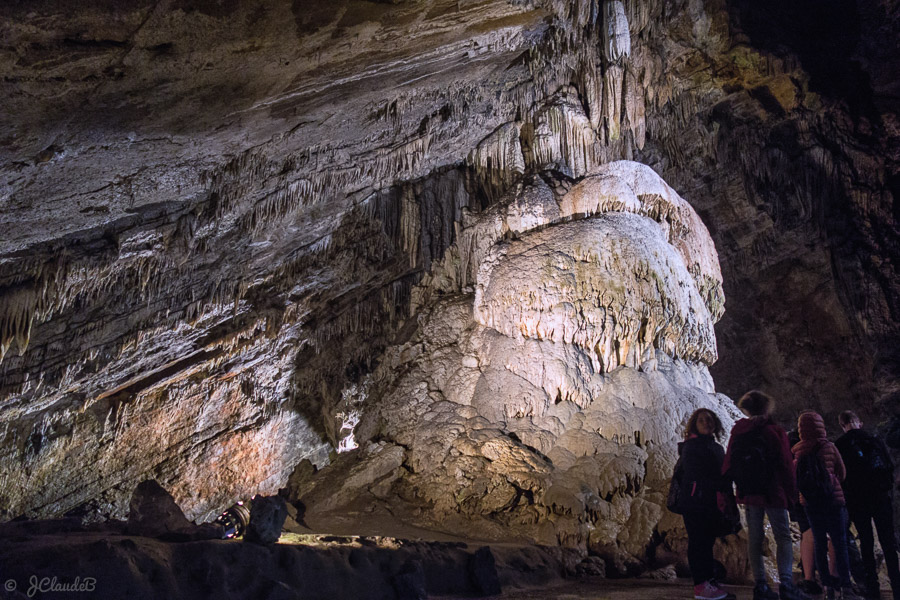 Le trophée - 7 m de hauteur et une circonférence d’environ 20 m. - Grotte de Han, Belgique 2016