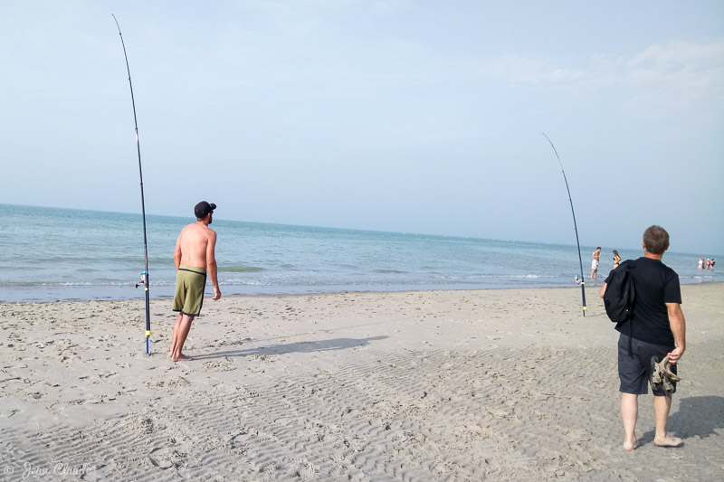 Surfcasting du côté du blockhaus, 2017