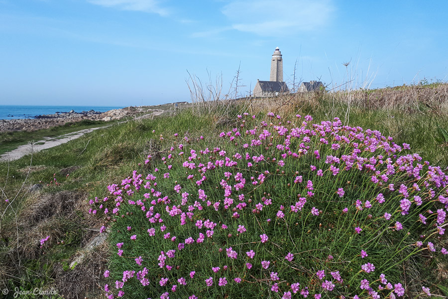 Autour du Cap Lévi