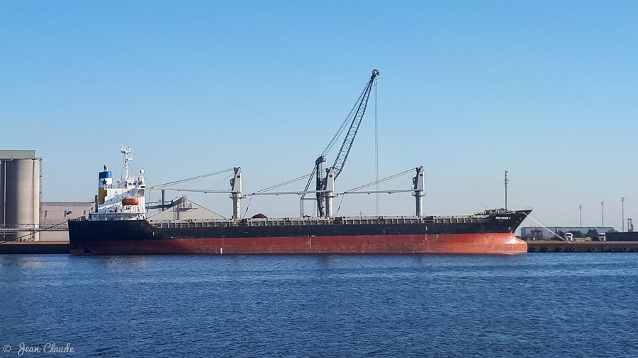 Bateau au minéralier (DK 2020)