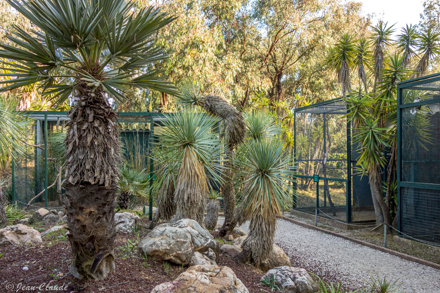 Jardin Zoologique Tropical, vue sur les volières