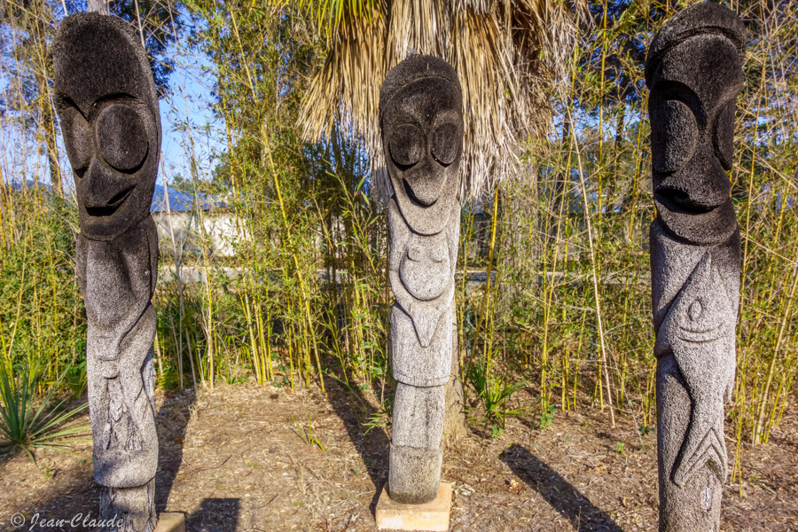 Statues de prise de grade Traditionnellement réalisées lors d'une cérémonie de prise de grade, chaque statue est à l'effigie d'un ancêtre. Les statues ont été sculptées dans des troncs de fougères arborescentes par des artistes du village de Magnan au nord d'Ambrym (Océan Pacifique).