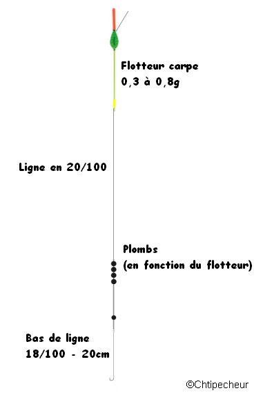 Ligne de pêche de la carpe au coup - Un montage classique pour le carpodrome