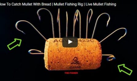 Bouchon DIY pour la pêche du mulet au sandwich