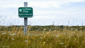 Platier d'Oyes, réserve naturelle - vue du côté de Gravelines