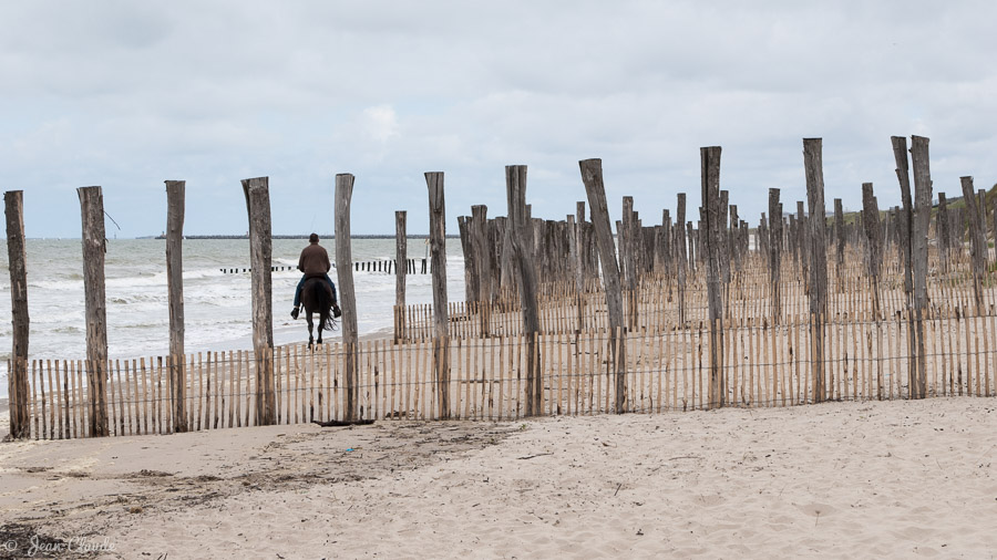 Réserve naturelle du Platier d'Oye - Le cavalier sur la plage des Escardines