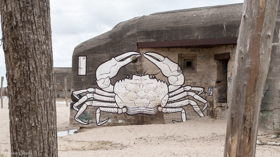 Le blockhaus au crabe - Réserve naturelle du Platier d'Oye