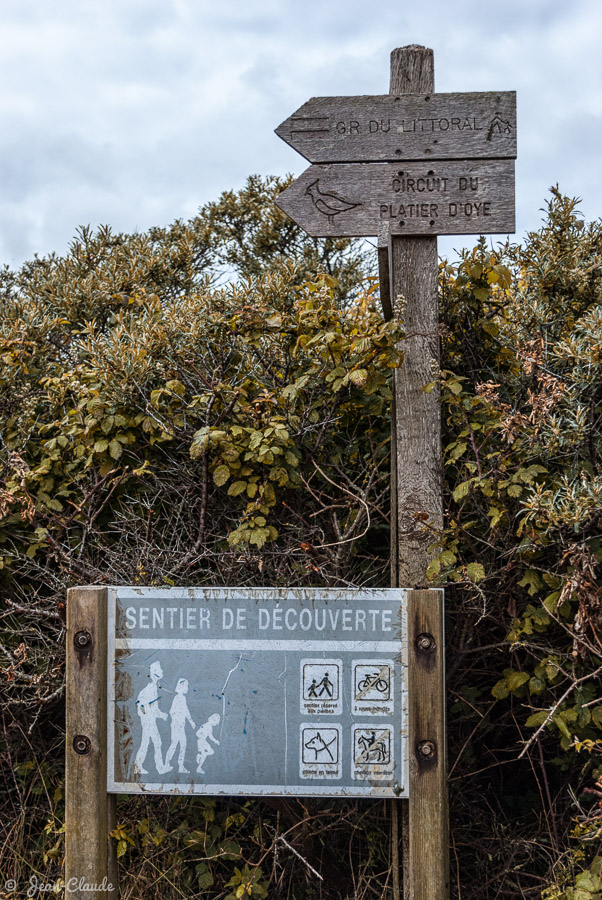 Panneaux du Sentier de découverte de la Réserve naturelle du Platier d’Oye, 2014