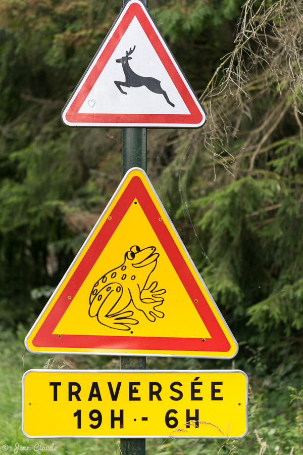 Panneau de signalisation "Traversée de grenouilles" - Forêt domaniale de Marchiennes