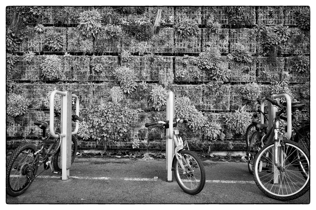 Les vélos sur la place du Marché - La Madeleine (59110, Nord)