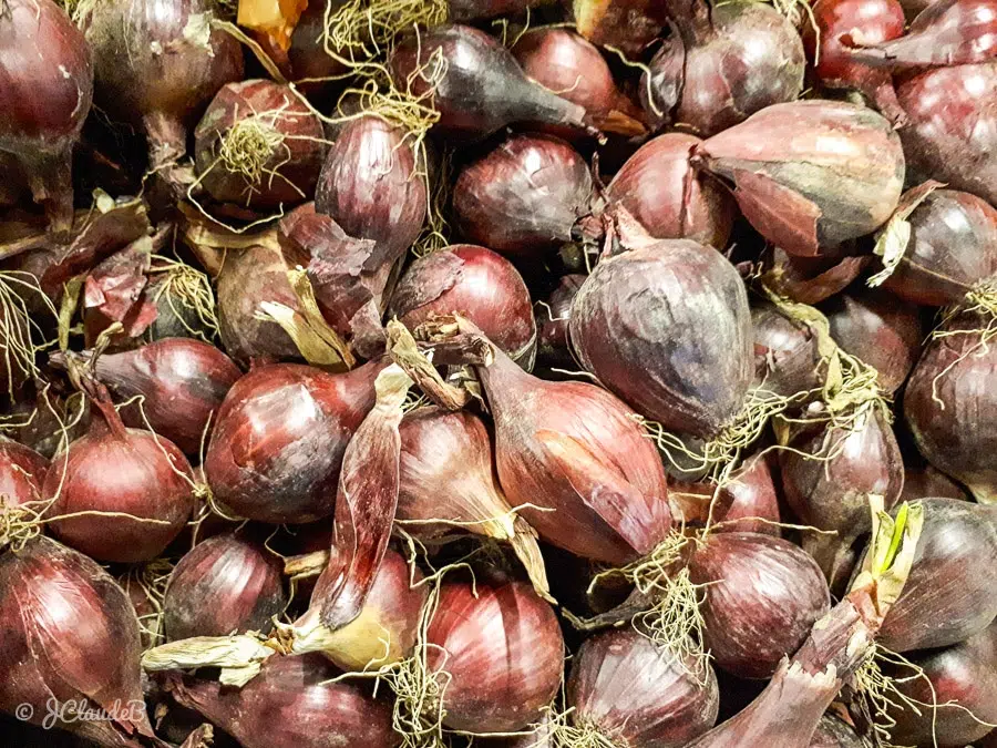 Les oignons rouges sont des cultivars à la peau rouge violacé et à la chair blanche teintée de rouge.