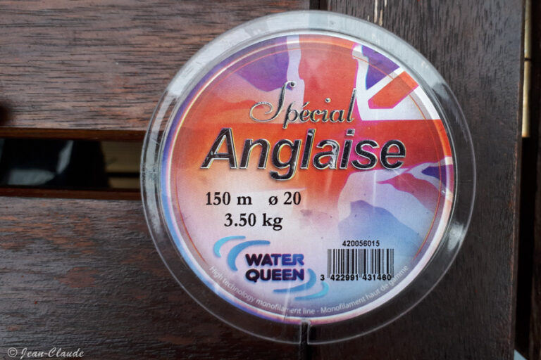 p-che-l-anglaise-bien-d-buter-avec-le-waggler