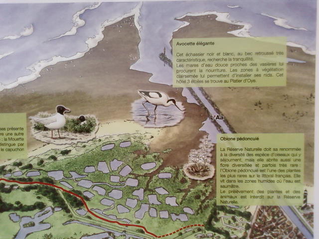 Plan du Platier d’Oye