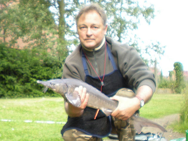 Esturgeon 3,5 kg