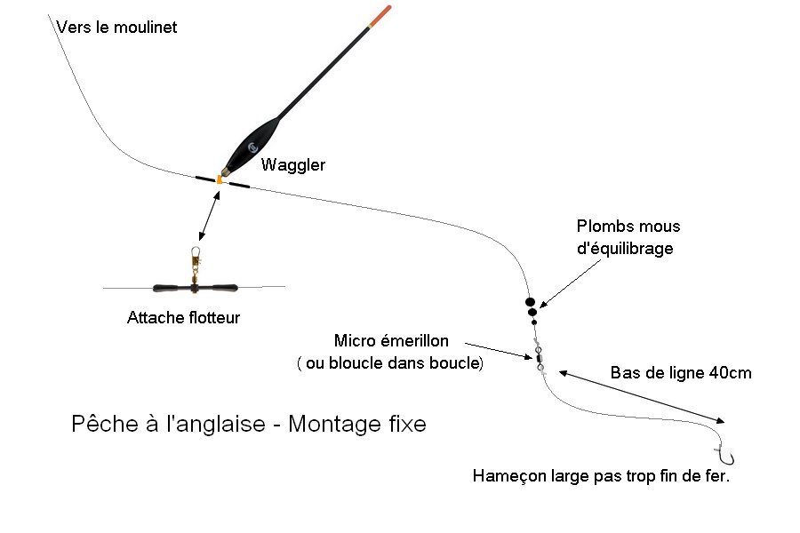 Montage waggler fixe pour la pêche à l'anglaise