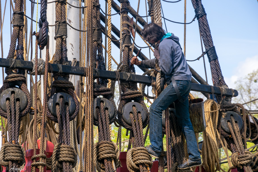 Dernières retouches - Chantier de l'Hermione à Rochefort, 2014