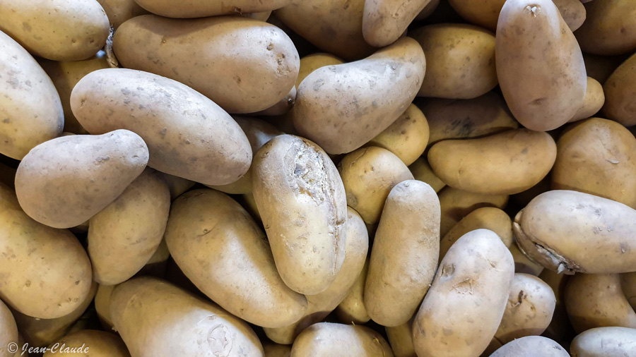 Les pommes de terre pour la pêche