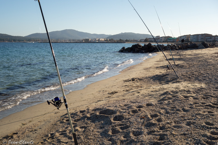 Surfcasting sur la plage de Grimaud, Novembre 2022