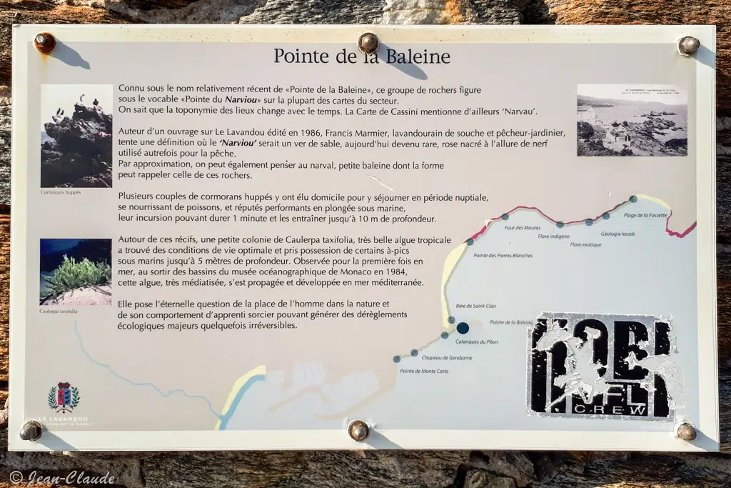 Panneau touristique le long du chemin côtier de la pointe de la baleine au Lavandou