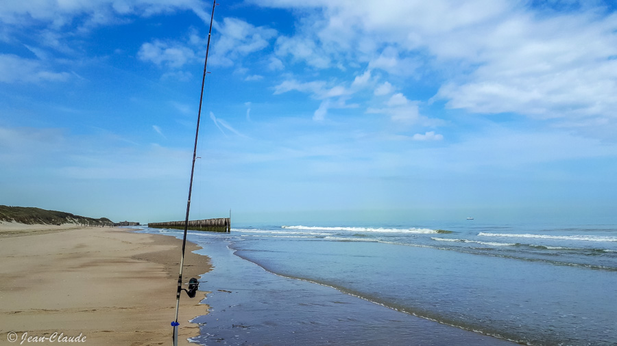 Vue sur la plage du platier d'Oye, 2023