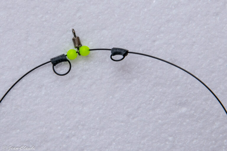 Comment pêcher le bar en surfcasting