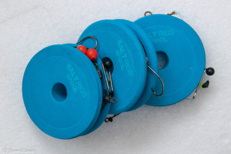 Comment pêcher le bar en surfcasting