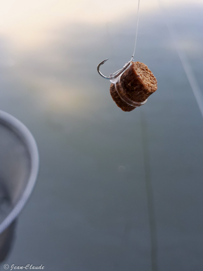 Un pellet monté sur une bague élastique