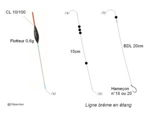 Ligne brème en étang