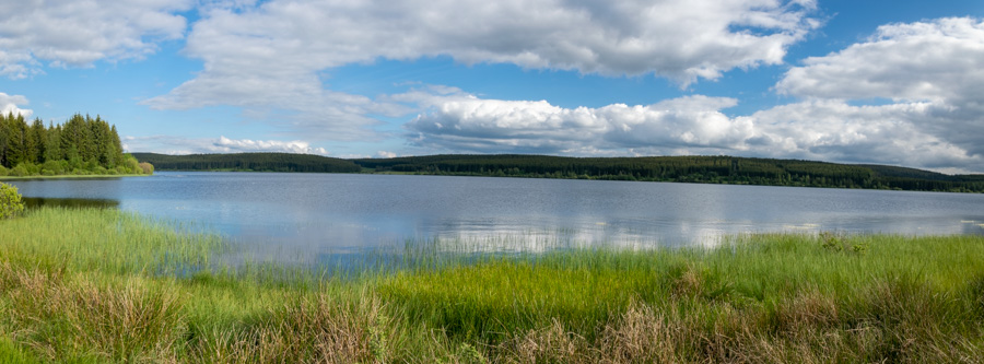 Le lac de Charpal, 2020