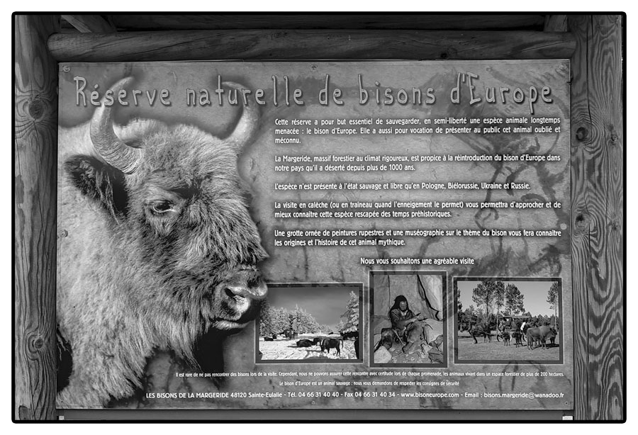 Panneau le parc des bisons d'Europe, 2020