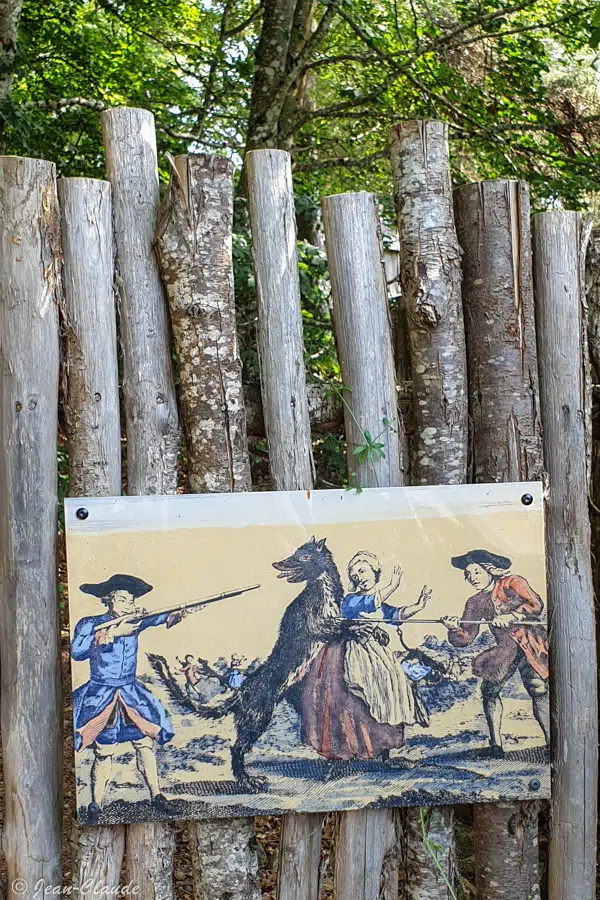 François Antoine abat un très grand loup dans la forêt des Chazes