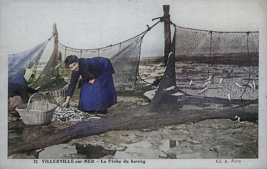 13 VILLERVILLE sur Mer - La Pêche du hareng (colorisé)