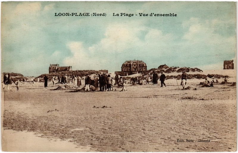 LOON-PLAGE (Nord) - La Plage - Vue d'ensemble . Edit. Soete Geneste