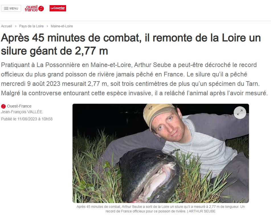 Article de presse du 11/08/2023 Ouest-France : Après 45 minutes de combat, il remonte de la Loire un silure géant de 2,77 m