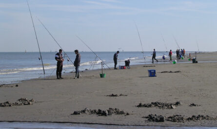 Concours de Surfcasting organisé par APLD, Digue du Braek, DK 2003