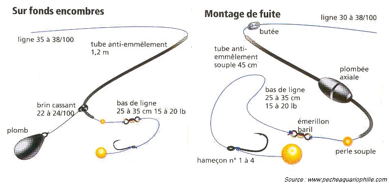 2 montages de fuite pour pêcher la carpe