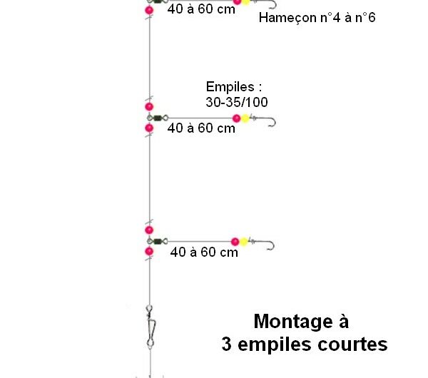 Montages surfcasting pour merlan d’hiver