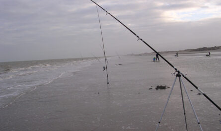 Surfcasting sur la plage de Leffrinckoucke, 2004