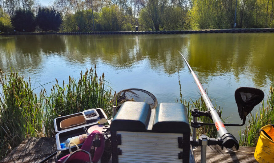 Étang de pêche de Marquette : infos & conseils