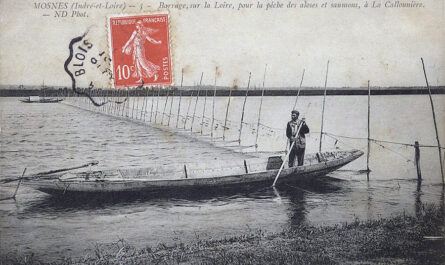 carte postale Mosnes en Indre et Loire - pêche des aloses et saumons