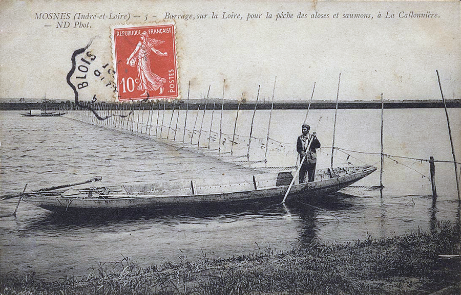 Mosnes (Indre-et-Loire) - 5 Barrage, sur la Loire, pour la pĂȘche des aloses et saumons, Ă La CallonniĂšre.