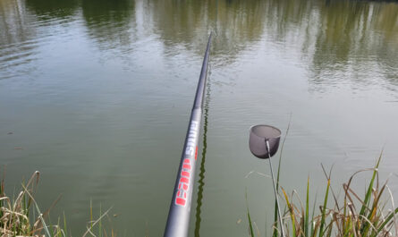 Etang de Marquette