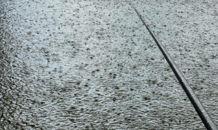 La pluie