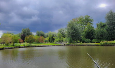 Etang de Wambrechies